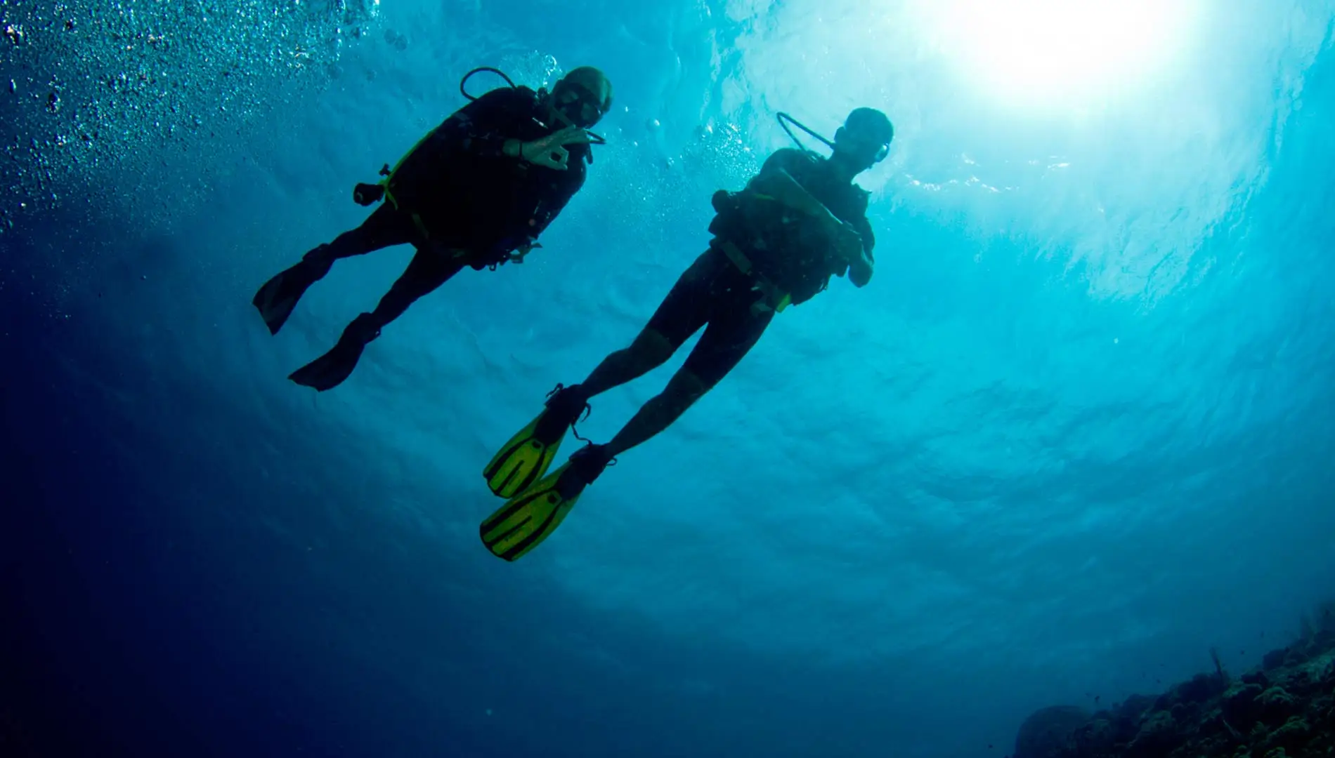 PADI Open Water Diver