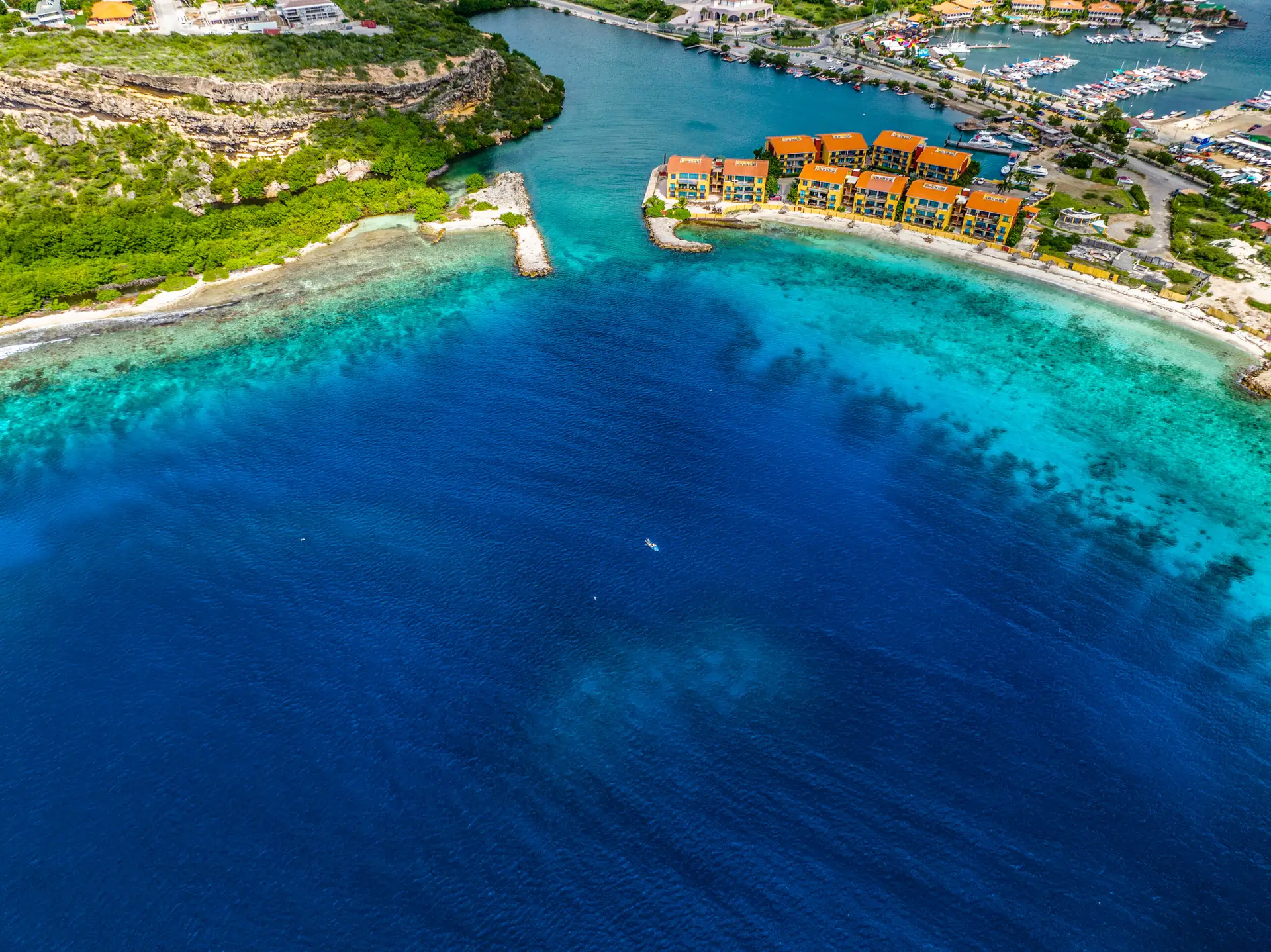 La Palapa