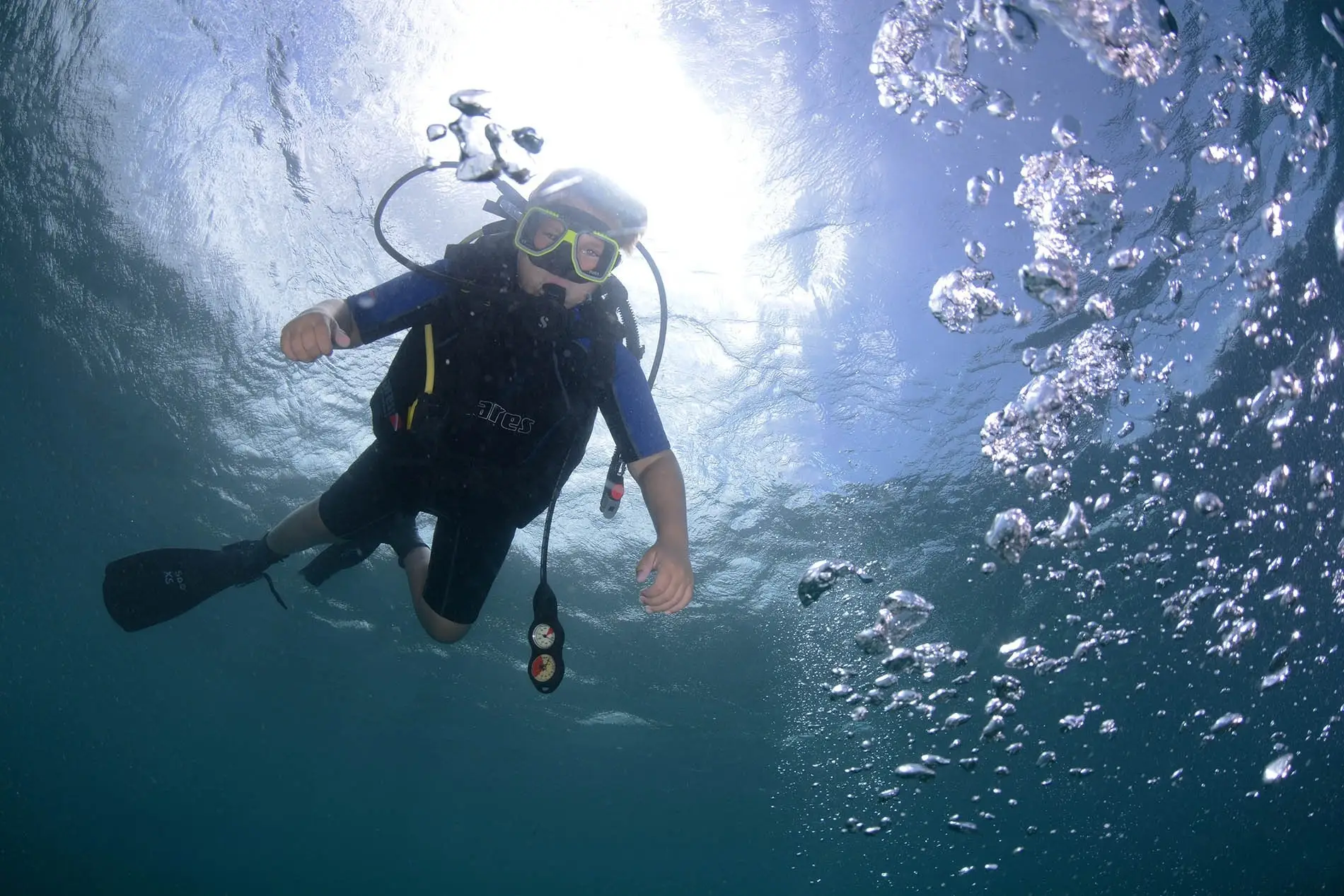 PADI Seal Team