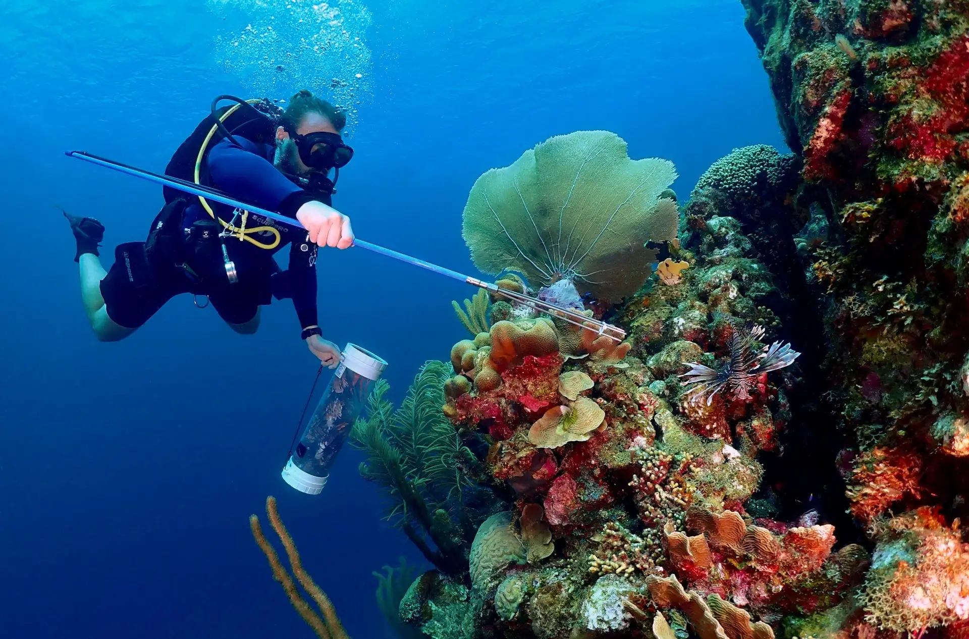 Lionfish Hunter Specialty