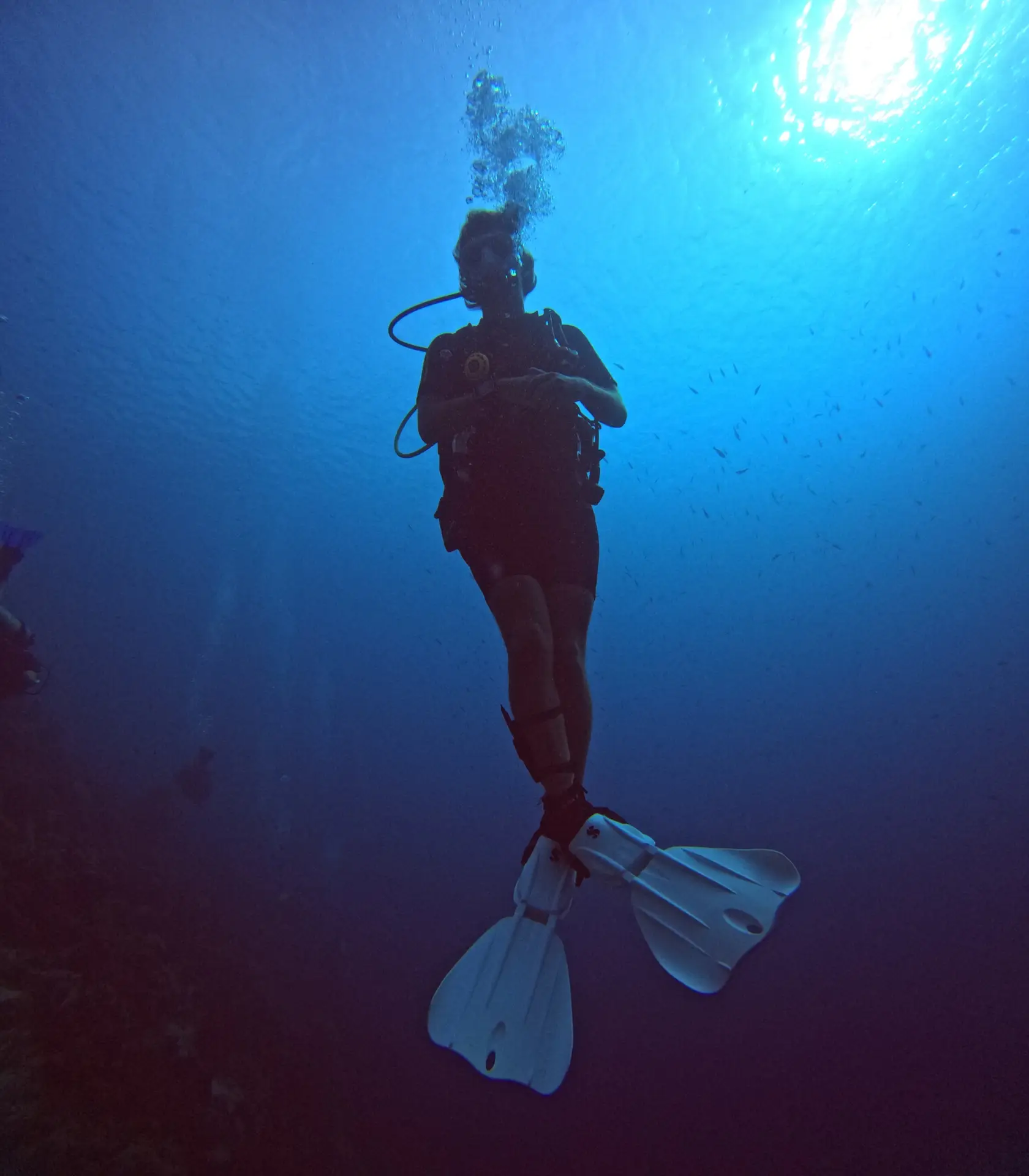 PADI Deep Diver Specialty